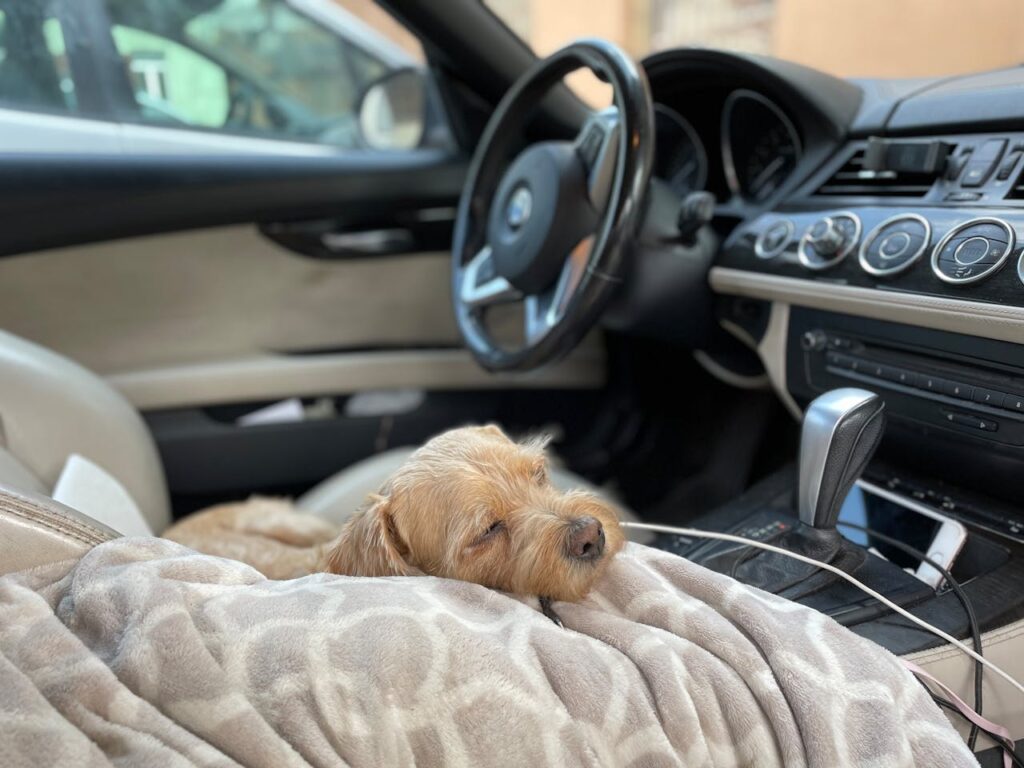 Spavanje u autu